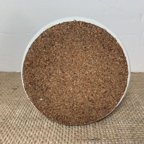 Door County Wisconsin Painted Mug No Spill Souvenir Cup Cork Bottom Cherries - Picture 6 of 6